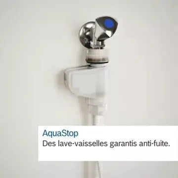 Lave vaisselle encastrable 	BOSCH	SMV4EVX36F Serenity